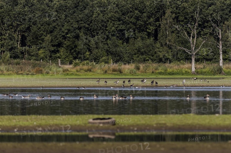 Low water level in the polder