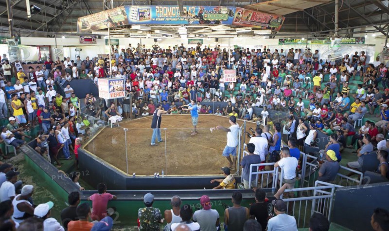 Cockfighting arena