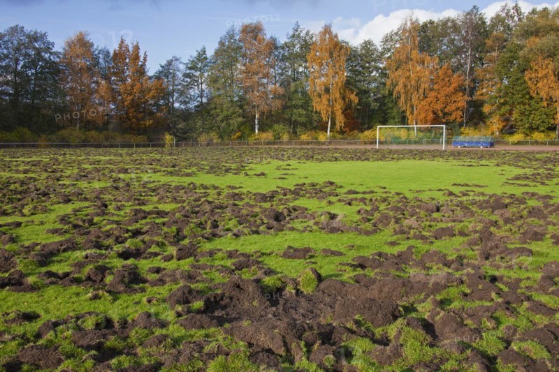Ruined football field