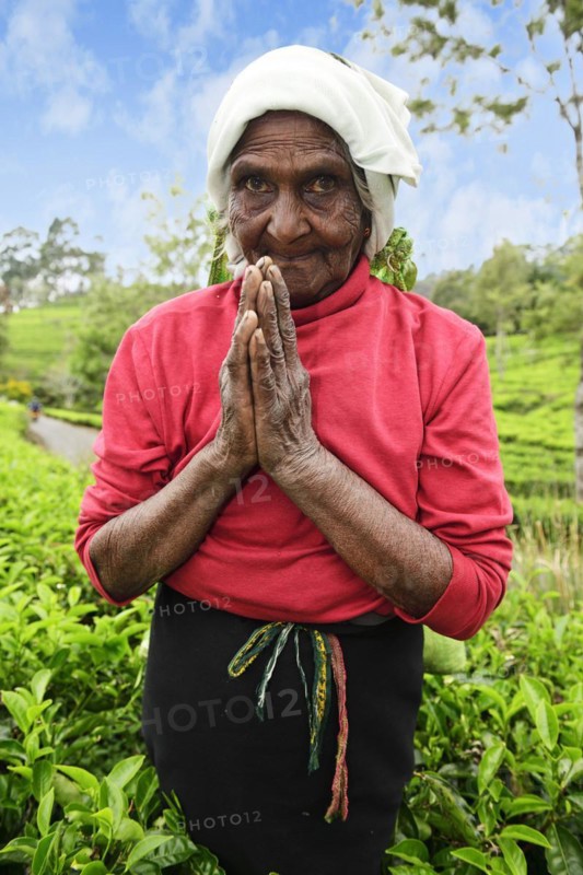Elderly tea picker with hands folded in salute