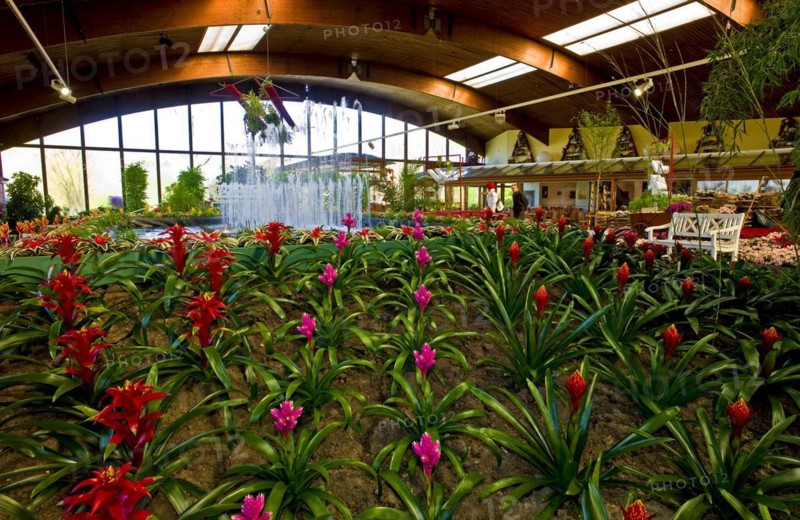 Flower Hall of Wiesmoor