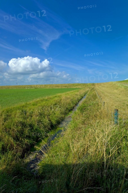 Drainage ditch behind the North Sea dike