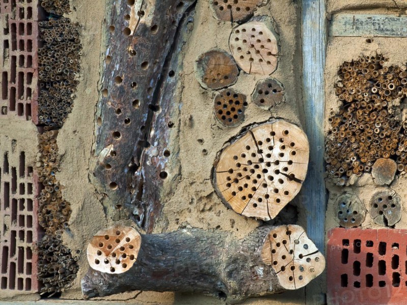Nesting aid for insects