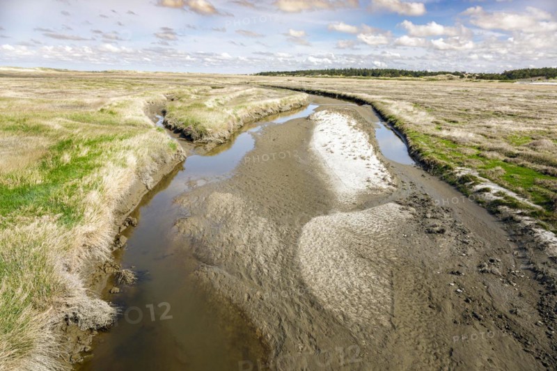 Tideway in the salt marshes between the sandbanks and dunes off Sankt Peter-Ording