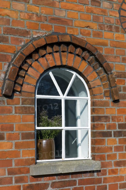 Stoneware pot with babys breath behind a window