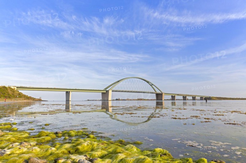 Fehmarn Sound Bridge