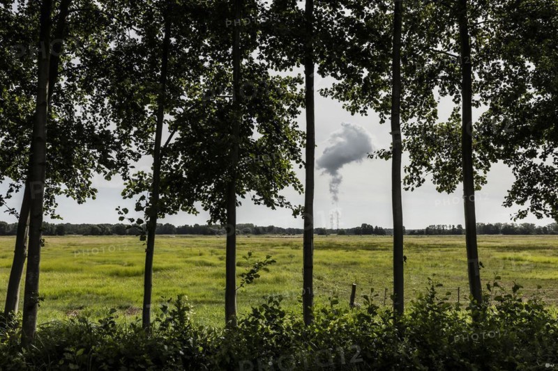The Jaenschwalde coal-fired power plant looms behind trees in Dissen-Striesow