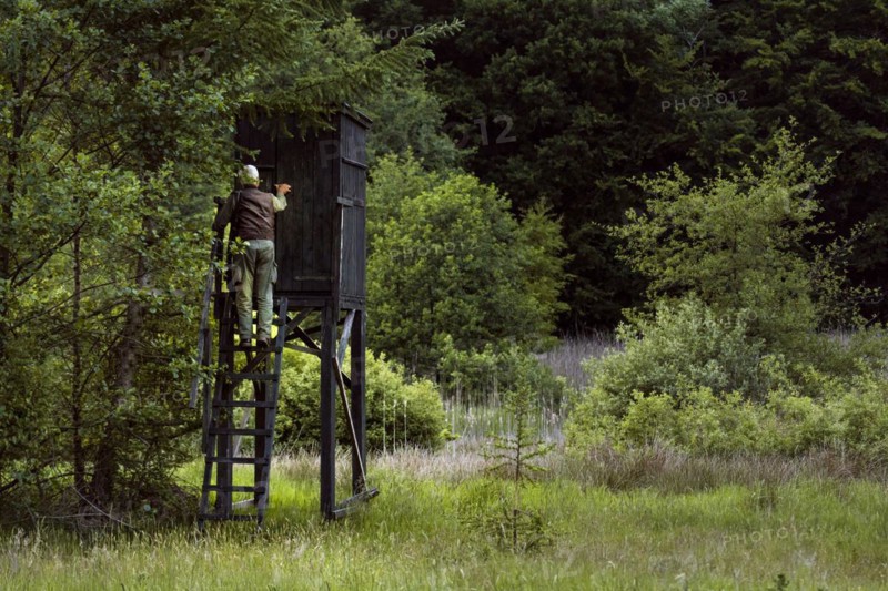 Hunters at the raised hide