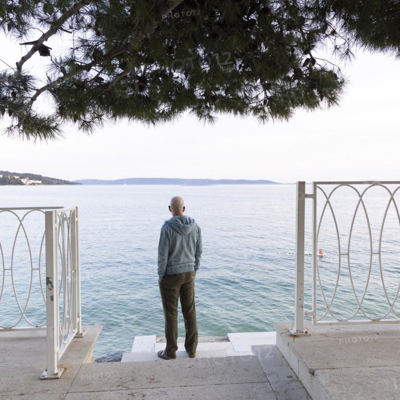 Man standing by the sea under a pine tree looking at the water