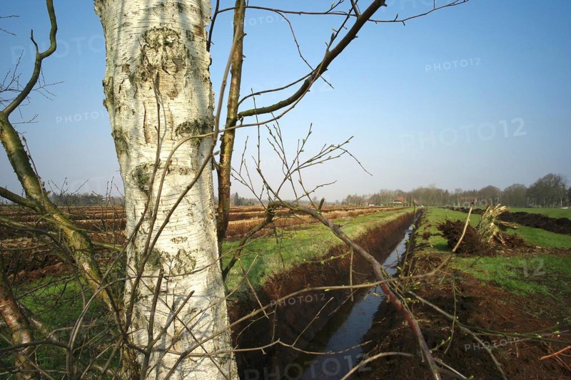 Peat cutting in the Wesermarsch region