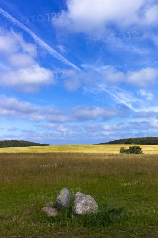 Landscape near the Koenigsstuhl