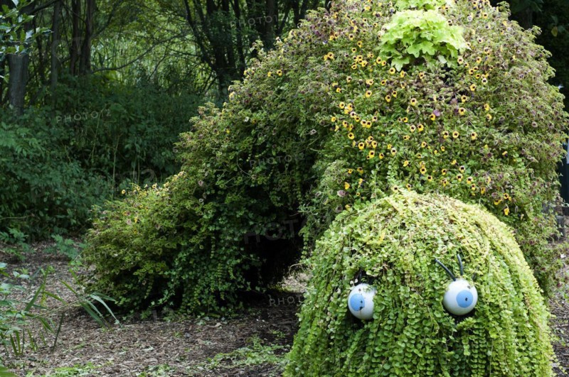 Everett Childrens Adventure Garden