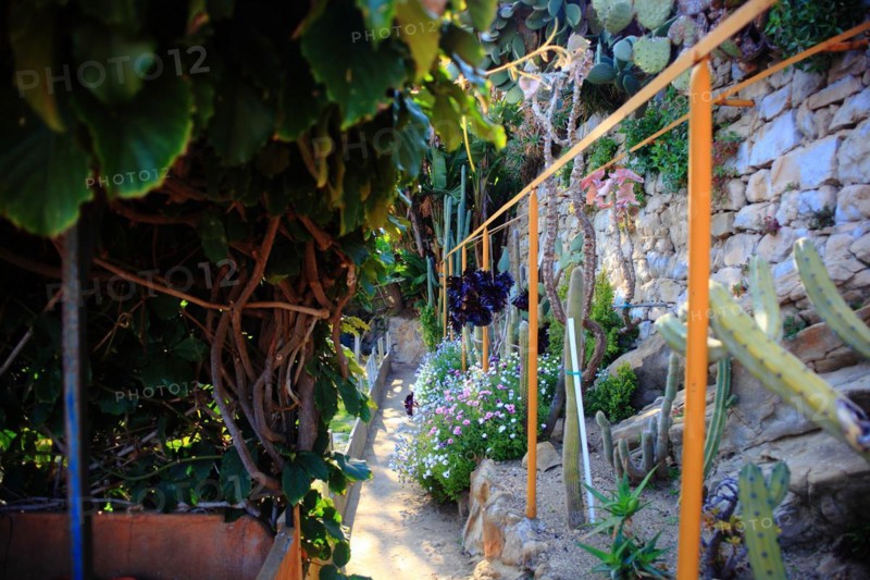 Pallanca exotic garden