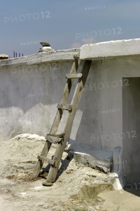 House with ladder