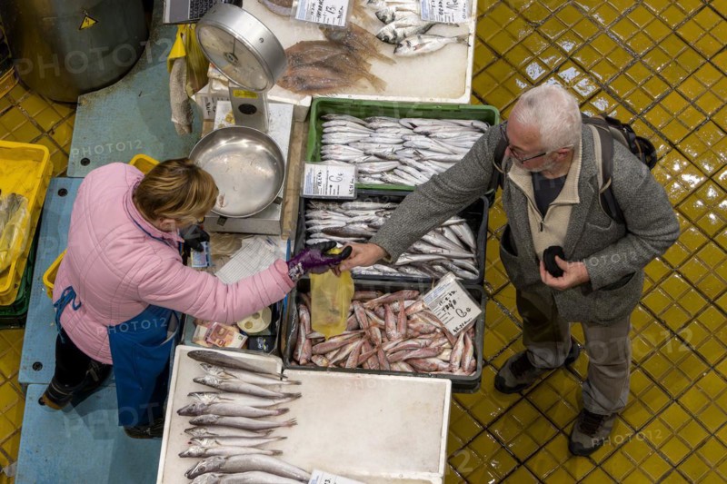 Birds eye colour photo of a stall full of different fish