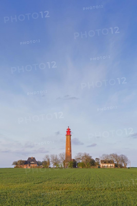 Fluegge