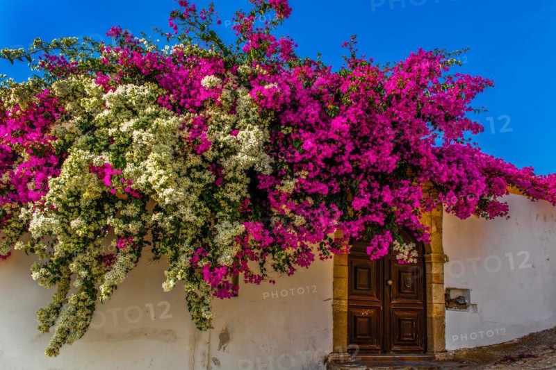 Lachania village