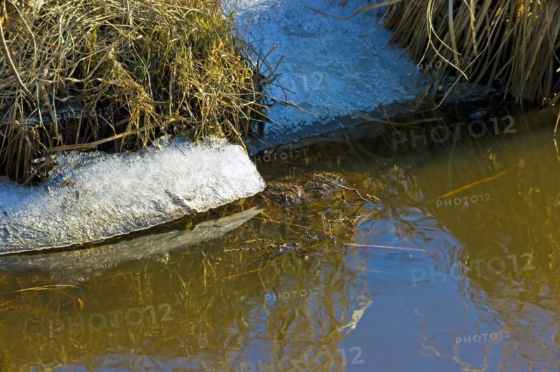Ice remains at the edge of a watercourse