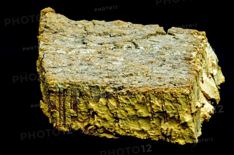 Cork bark