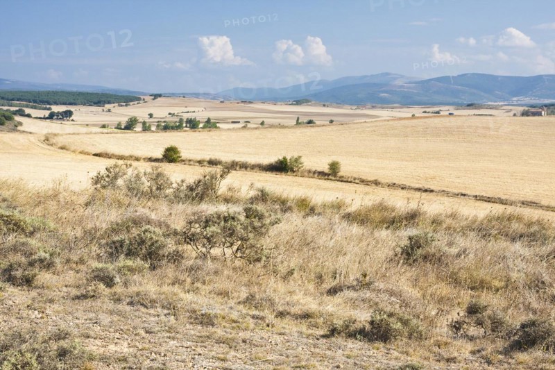 Great expanse in front of Ages