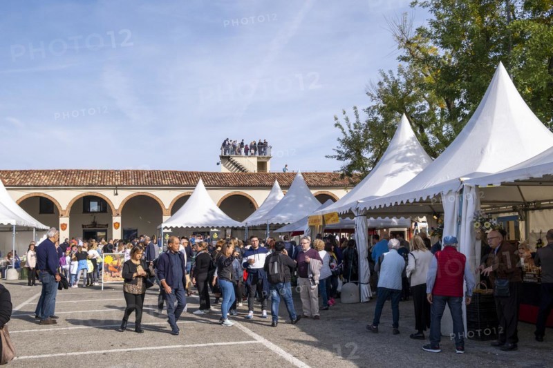 Market hustle and bustle