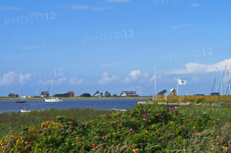 Approach to the harbour with a view of Graswarder