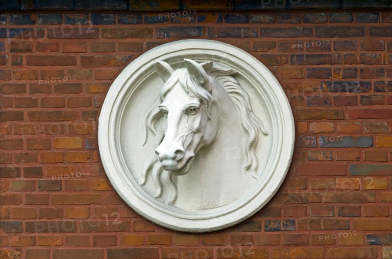 Relief of a horses head on a house wall