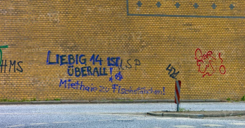 Graffiti on a wall Rent sharks to fish fingers