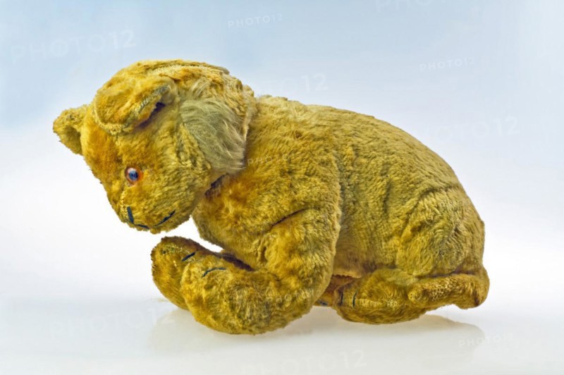 Plush lion