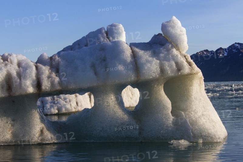 Melting ice floe calved from the Lilliehoeoekbreen glacier drifting in the Lilliehoeoekfjorden