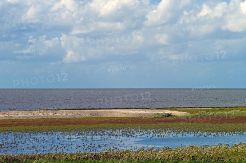 Wadden Sea at high tide