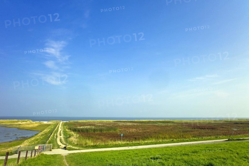 Salt marshes and beach at Schillig