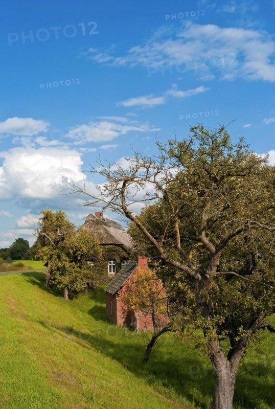 Farmhouse with apple tree and bread baking house in Werderland