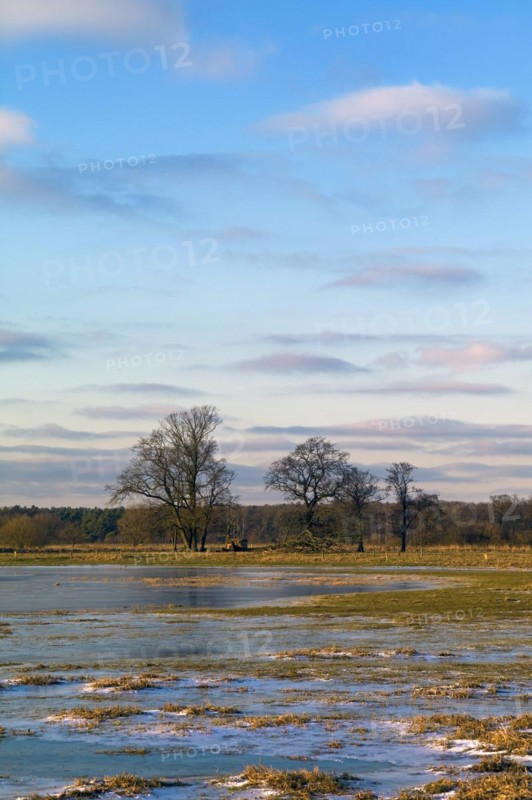 Iced Wuemmewiesen in Fischerhude