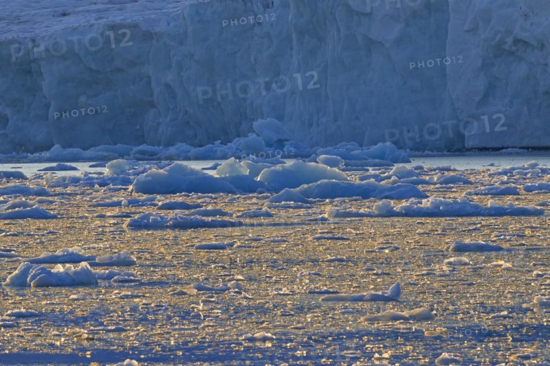 Ice floes calved from the Lilliehoeoekbreen glacier drifting in the Lilliehoeoekfjorden
