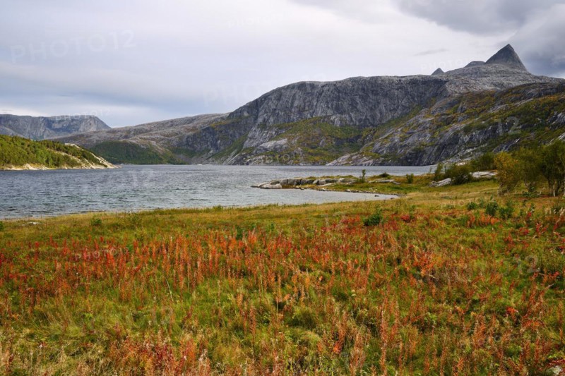 Saltfjorden in autumn