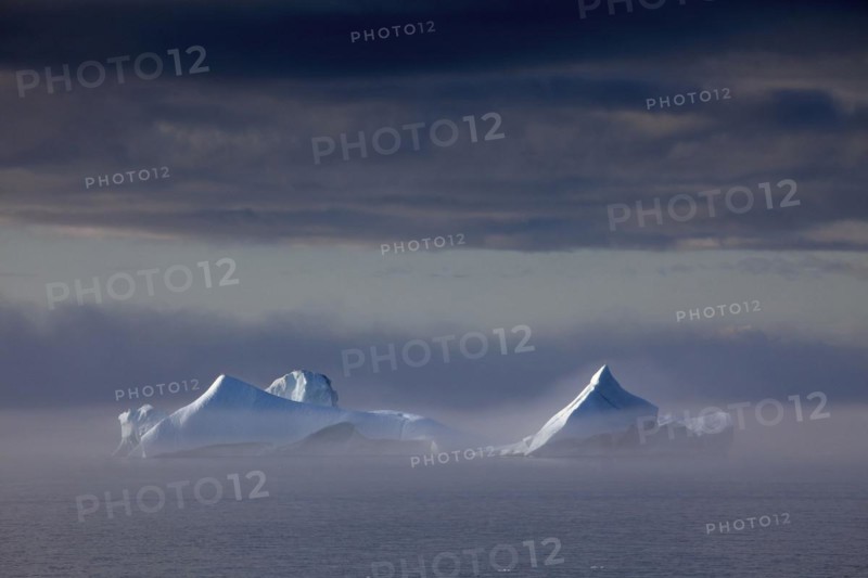 Icebergs in the mist