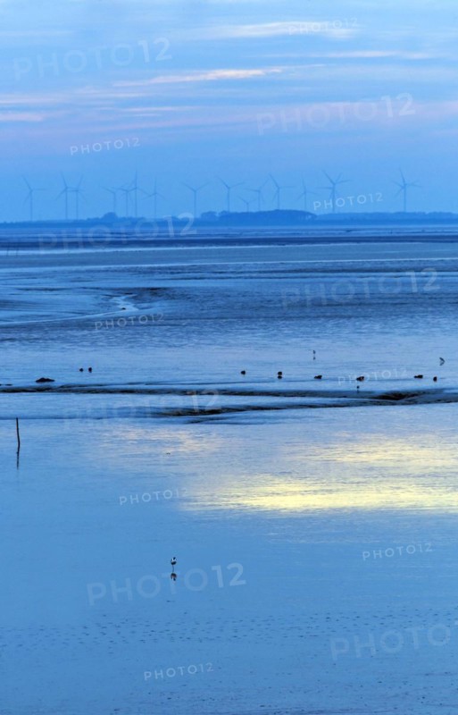 Evening light in the mudflats on the Dollart