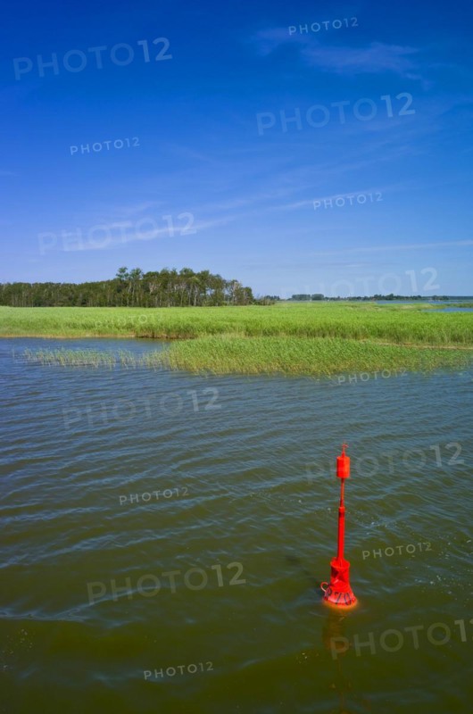 Saaler Bodden