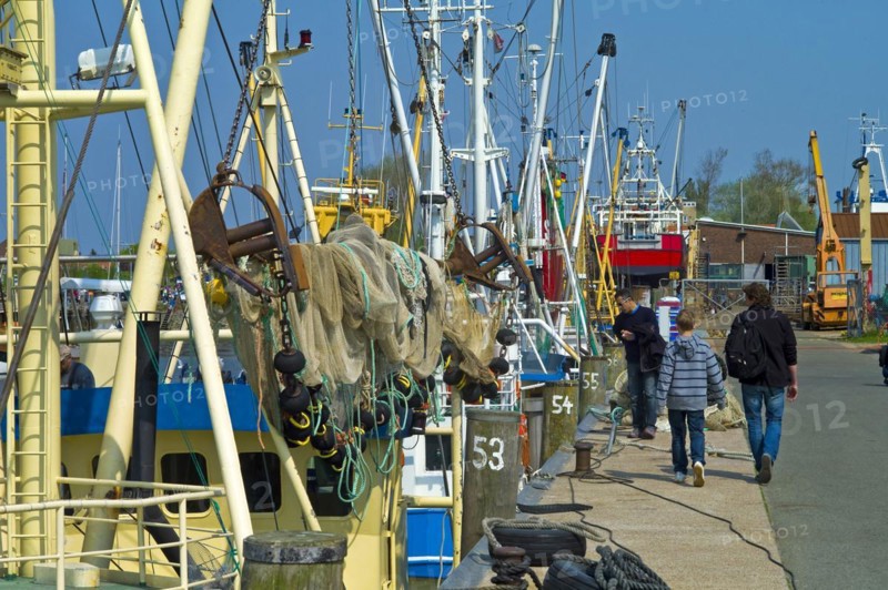 Shrimp cutter in the harbour of Buesum