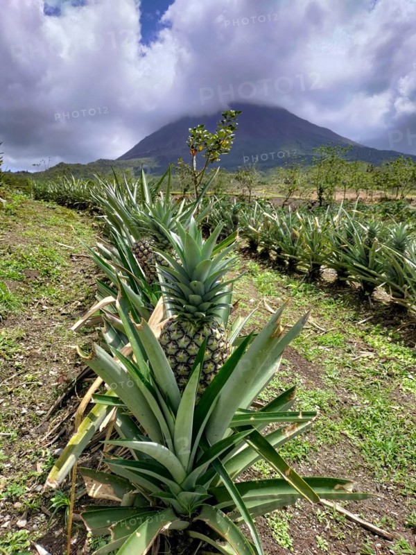 Arenal Volcano National Park
