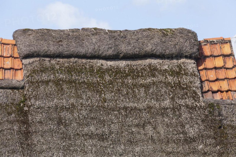 Thatched roof