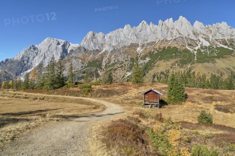 Autumnal alpine pasture in good weather