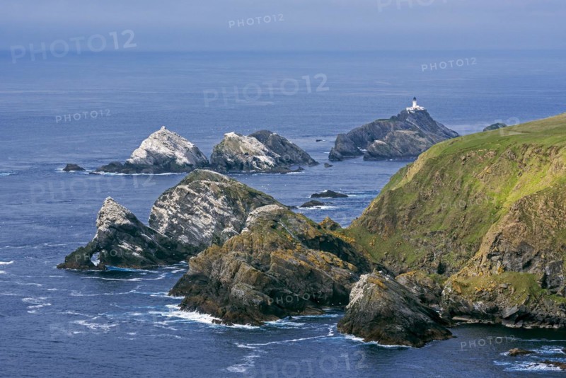 Gannetry on sea stacks and the Muckle Flugga lighthouse