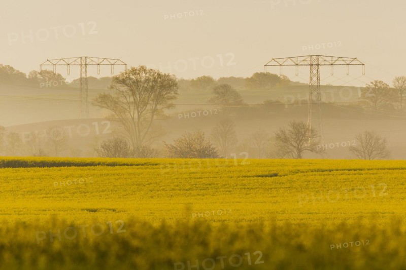 Electricity pylons looming in a landscape near Glasewitz