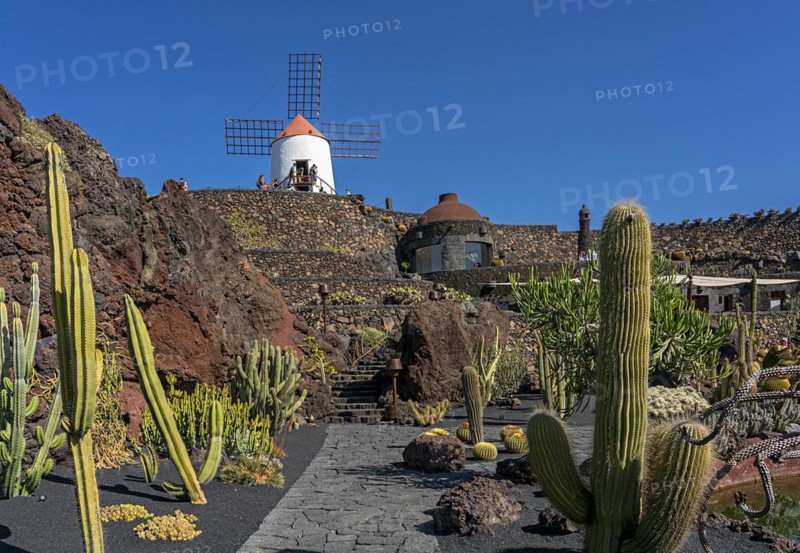 Windmill in the Jardin de Cactus