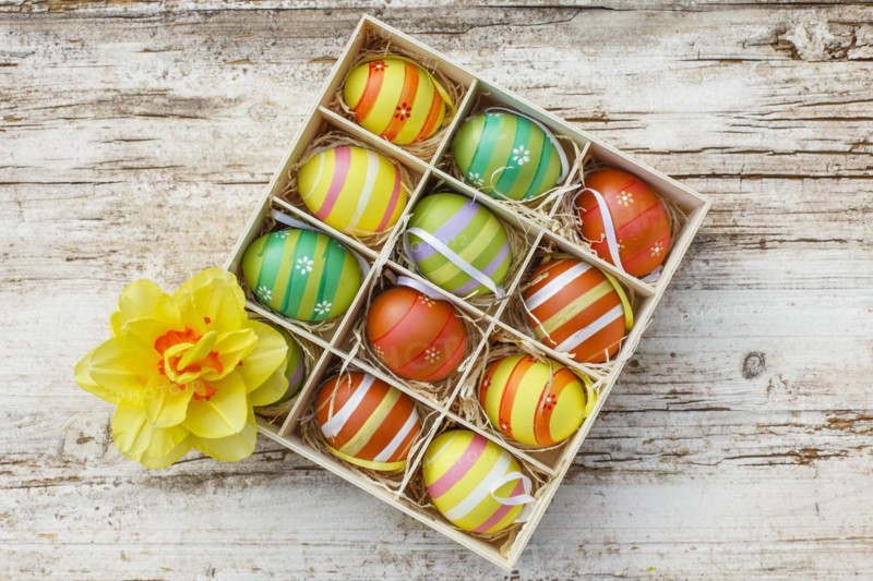 Coloured eggs in a box