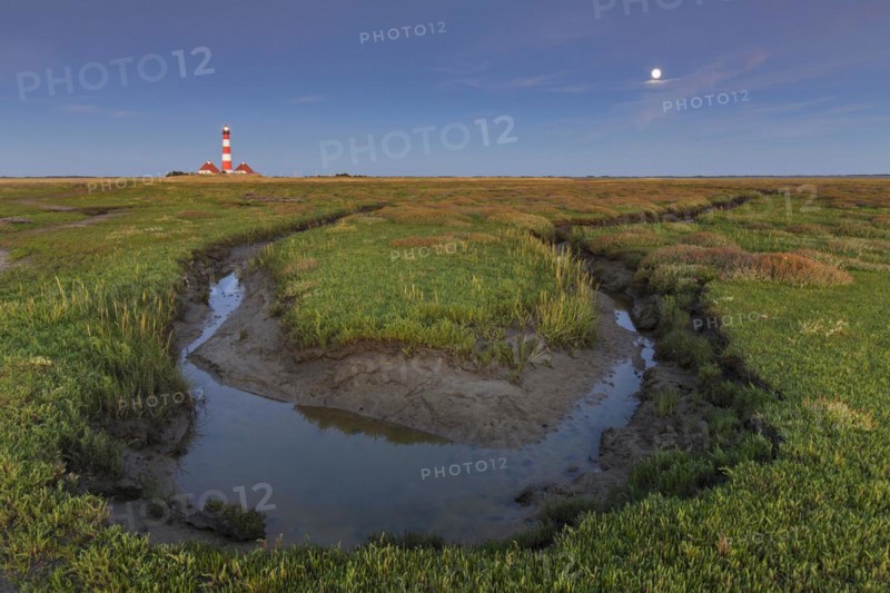 Saltmarsh and lighthouse Westerheversand at Westerhever