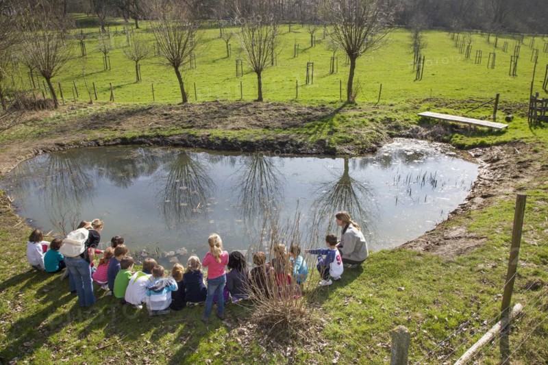 School children with teachers looking at frogspawn in old watering place for cattle
