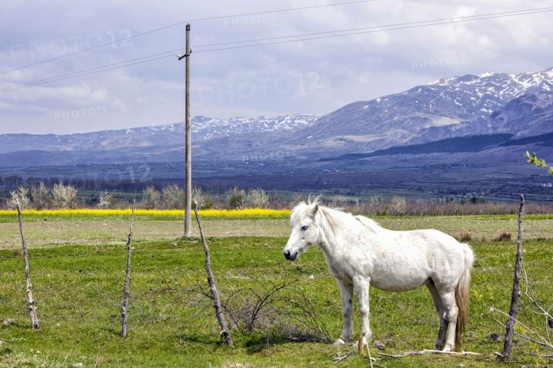 Plateau near Erseka in the southeast
